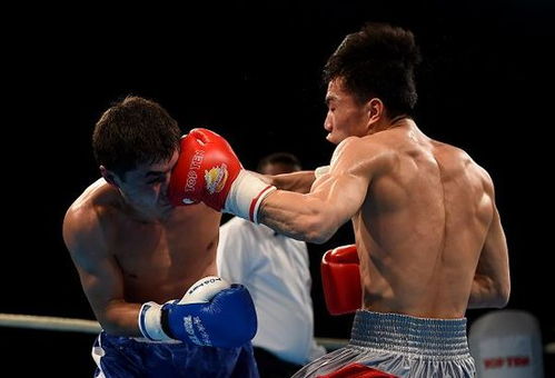 拳擊世錦賽中國雙雄晉級四強，明晨決戰奧運資格